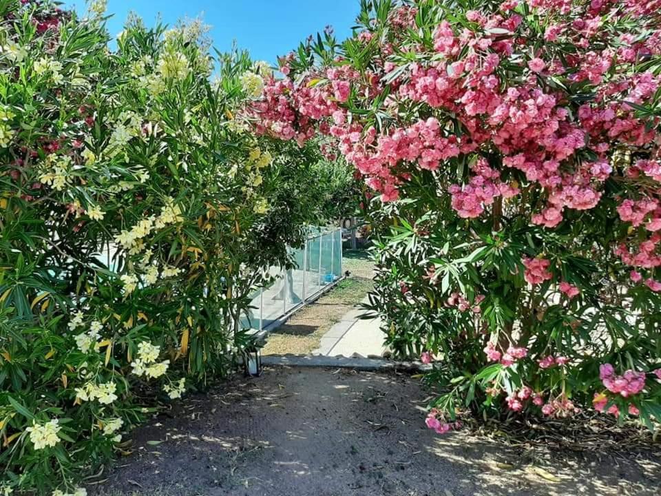Orasi Sartene Gite Casa Fiurita מראה חיצוני תמונה