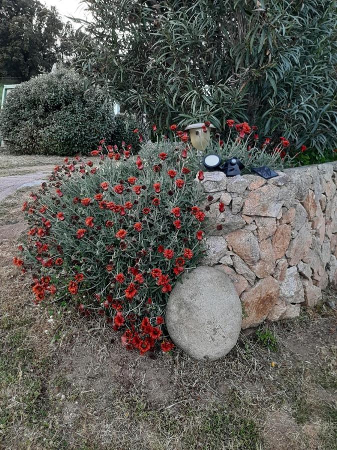 Orasi Sartene Gite Casa Fiurita מראה חיצוני תמונה