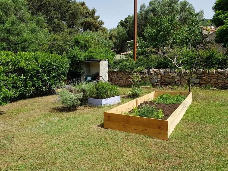 Orasi Sartene Gite Casa Fiurita מראה חיצוני תמונה