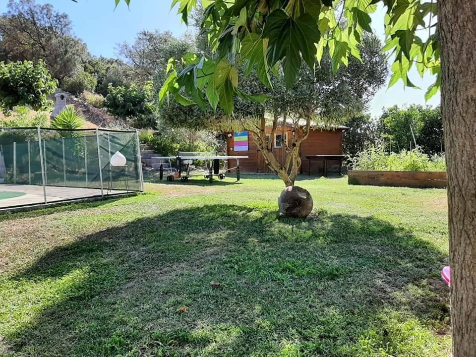 Orasi Sartene Gite Casa Fiurita מראה חיצוני תמונה
